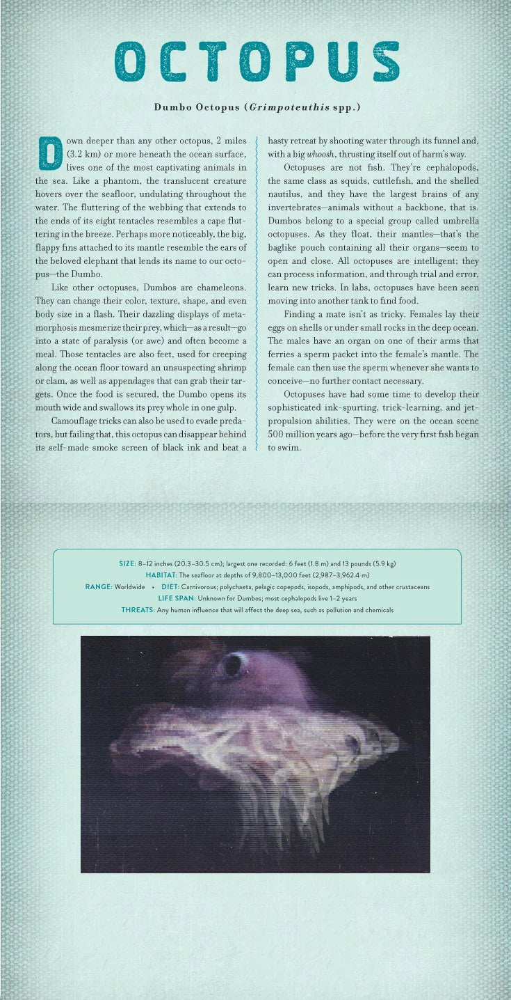 Ocean: A Photicular Book