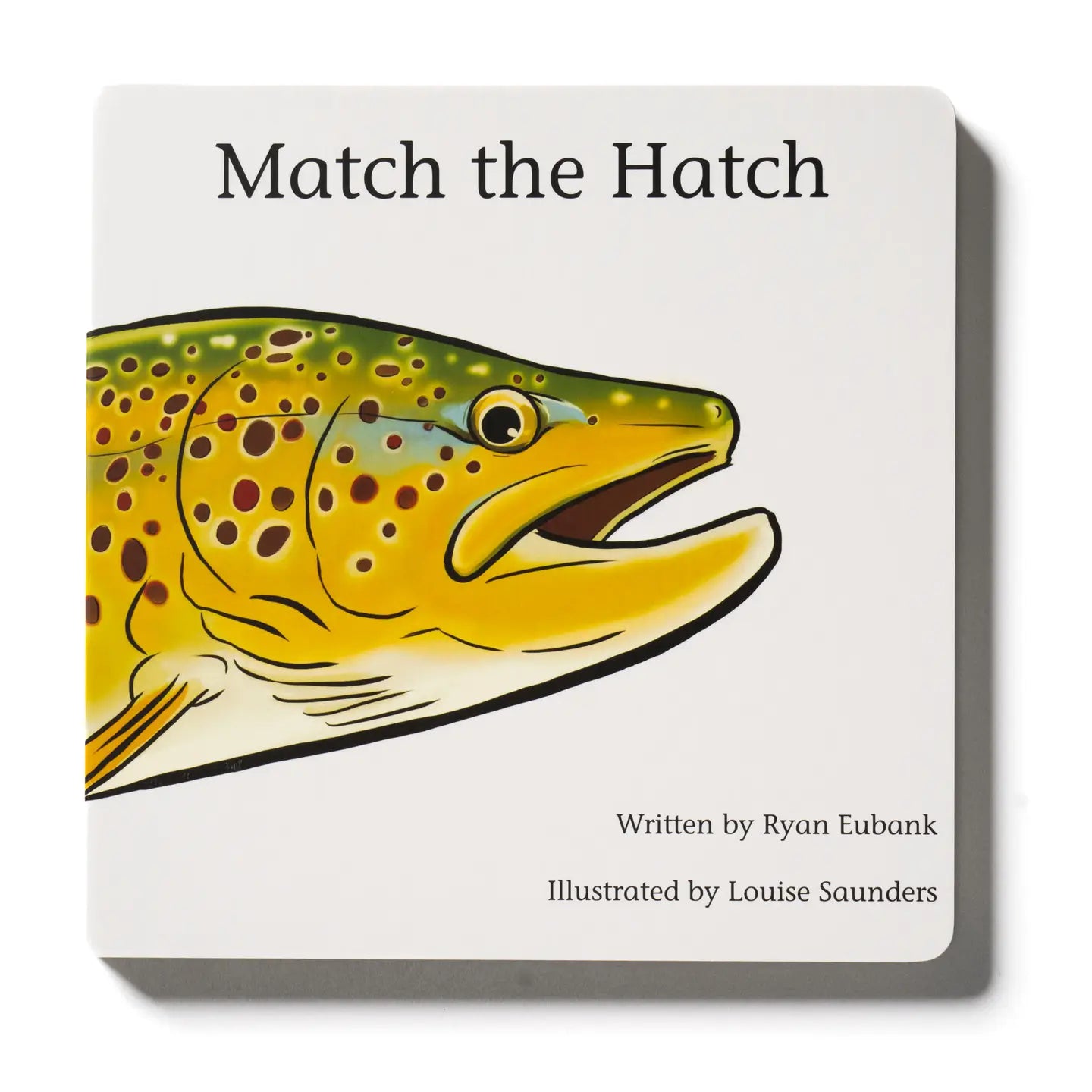 Match The Hatch Children's Book