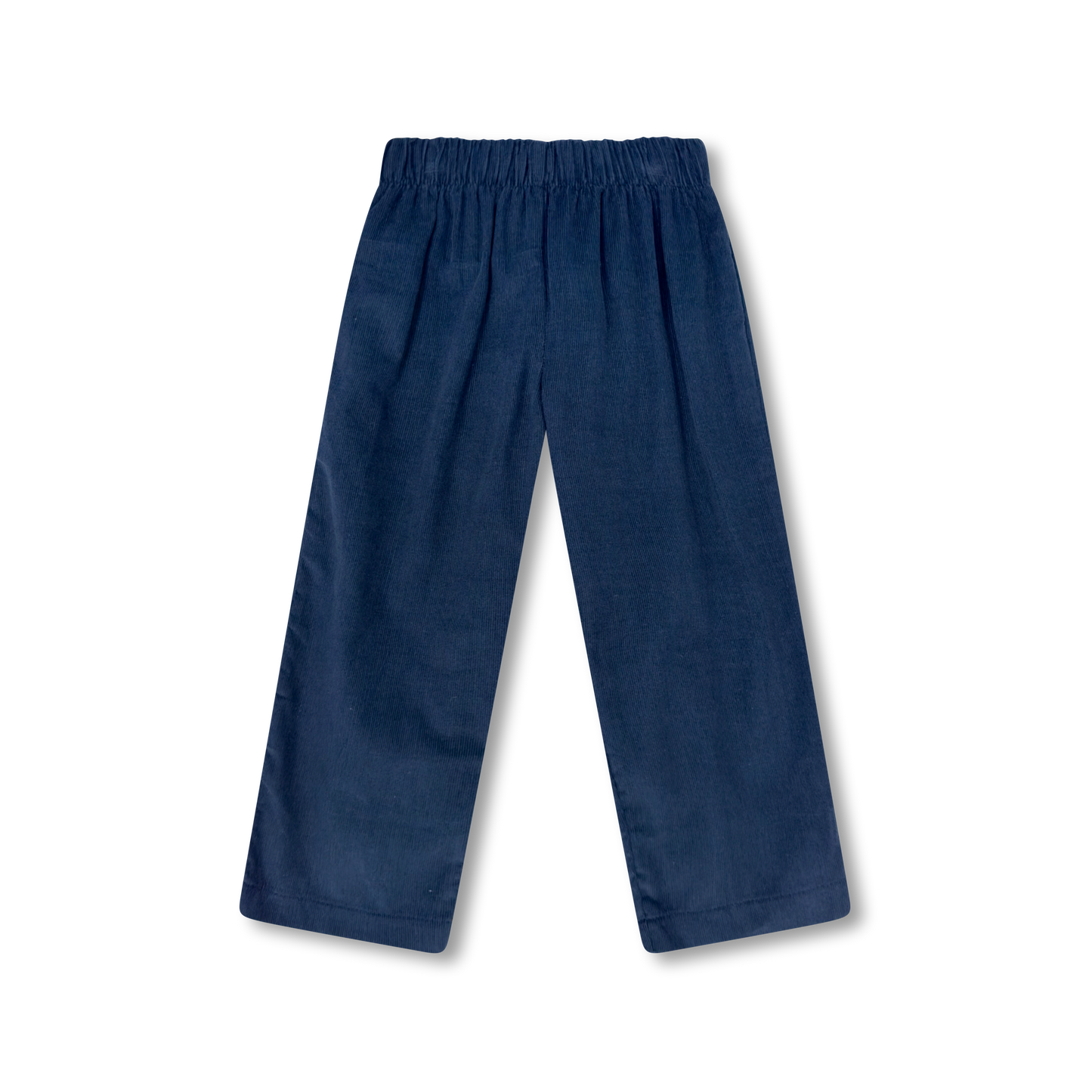 William Pant Princeton Navy