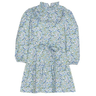 Leland Floral Carrick Dress