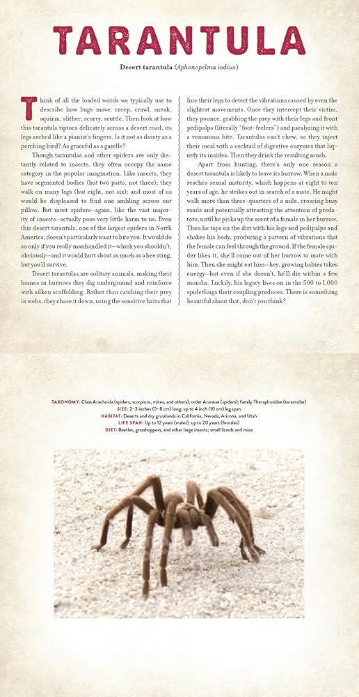 Bugs: A Photicular Book