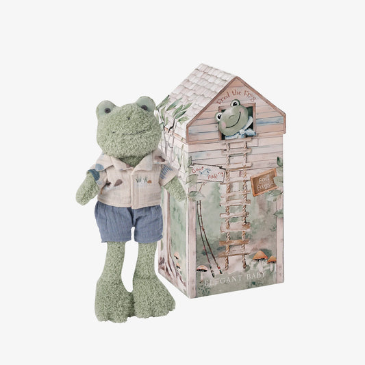 Boxed Frog Plush Toy