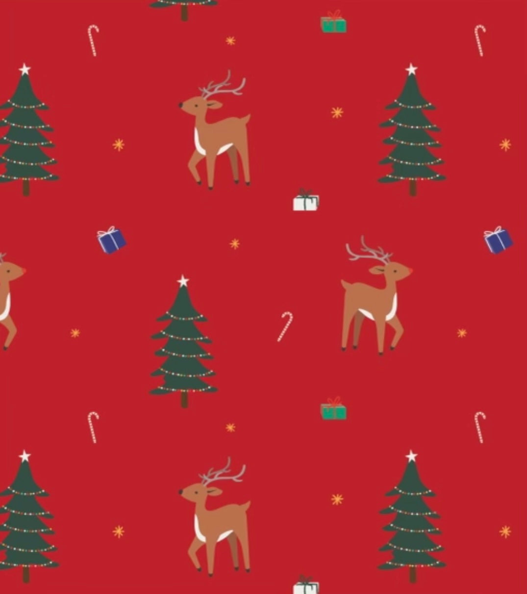 Reindeer Zippered Footie
