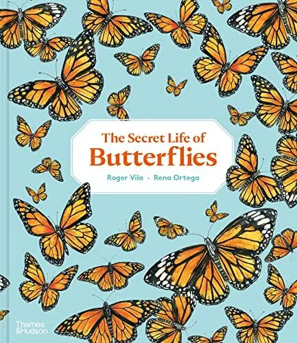 Secret Life of Butterflies