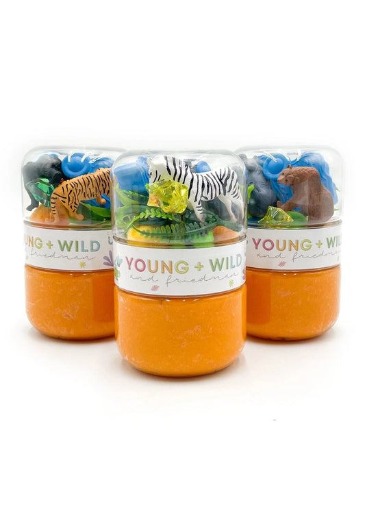 Zoo Grab & Go Dough Jar